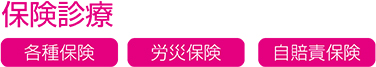 保険診療 : 各種保険・労災保険・自賠責保険対応